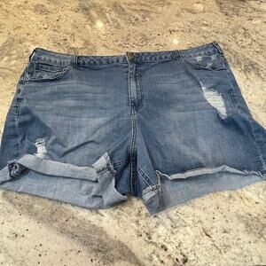 Lane Bryant Denim Jean Shorts 26